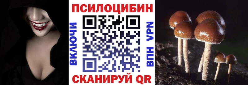 Псилоцибиновые грибы Psilocybe  Новокузнецк 