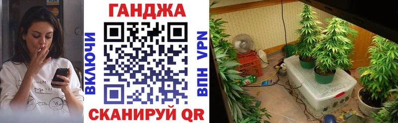 Конопля OG Kush  цена   Новокузнецк 